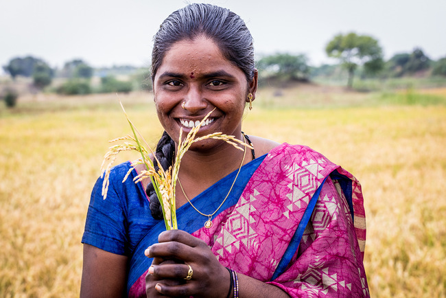 Mammatha, farmer and client of Spandana, in her rice field in Kistagiri. Read more in our study tour report (see link in the client story).